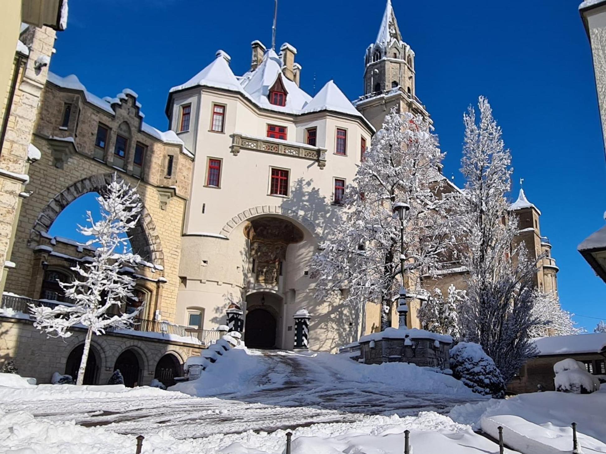 Apartment Am Schloss Зігмарінген Екстер'єр фото